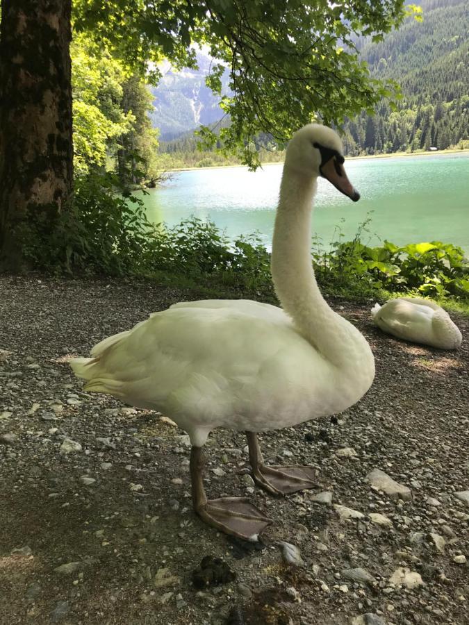 Apartmán Haus Erika Wagrain Exteriér fotografie