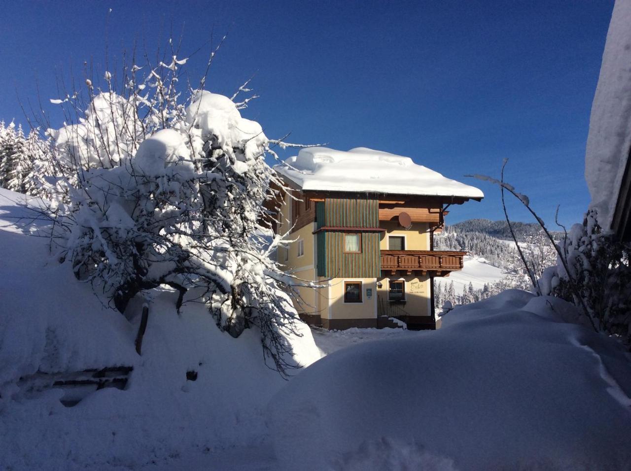 Apartmán Haus Erika Wagrain Exteriér fotografie